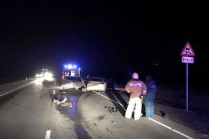 Отбросило на встречный автомобиль: три человека пострадали из-за лошади под Астраханью