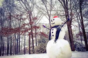 В Астрахани установят трехметрового снеговика