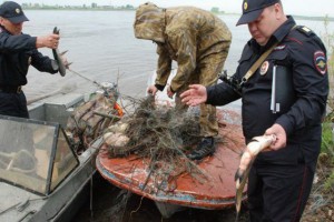 Астраханцы будут больше платить за незаконно добытую рыбу
