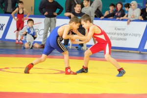 Астраханские борцы завоевали пять медалей на турнире в Волгодонске