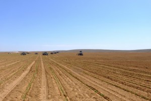 Агропромышленный комплекс «Астраханский» получил 6 дополнительных земельных участков