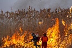 В Астрахани &quot;Гринпис России&quot; борется с пожарами близ биосферного заповедника