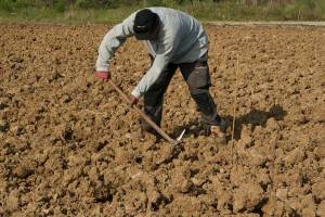 В Астраханской области приостановили работу фермерского хозяйства