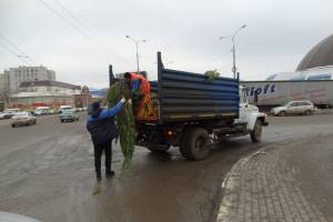 В Астрахани суд рассмотрит дела о елках