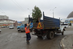 В Астрахани у незаконных продавцов ёлок отобрали хвойные деревья