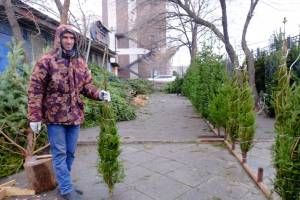 В Астрахани сезон продаж елок: в этом году не все так, как в прошлом