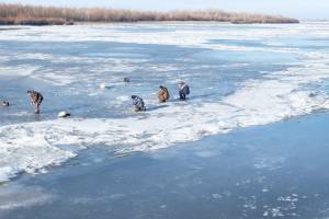 Астраханцев предупреждают об опасности нахождения на льду