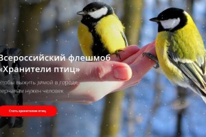 Астраханцы могут помочь птицам пережить зиму