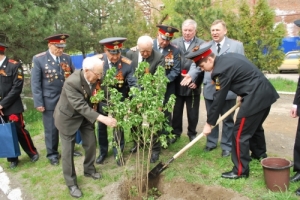 В Астрахани посадят деревья Победы