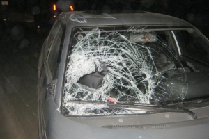 В Астраханской области в результате наезда автомобиля пострадал пешеход