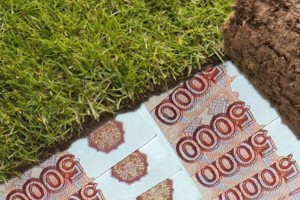 В Астрахани группа мошенников присвоила земли на 90 миллионов рублей