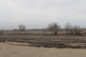Загорание сухой растительности в Камызякском районе Астраханской области