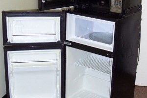 Друзья украли у астраханки холодильник и микроволновку