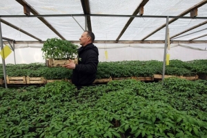Астраханская область получит более 54 млн на развитие фермерских хозяйств