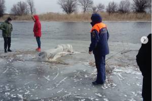 Трагедия на воде: под Астраханью нашли труп мужчины, пропавшего на рыбалке вместе с маленьким сыном