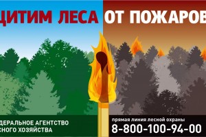 В Астраханской области ликвидировали условный лесной пожар
