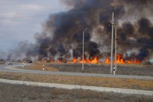 В Астраханской области готовятся к сезону степных пожаров: куда сообщать о ЧП