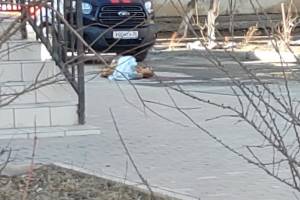 В Астрахани насмерть разбился 13-летний мальчик