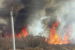 В Астрахани горит камыш. Огонь бушует на нескольких улицах