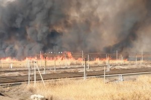 В Астраханской области выжигают сухостой