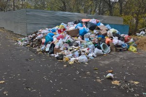 Россияне за 18 лет развили способность мусорить на 80% больше