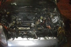 В Астраханской области горели камыш, труба газопровода и машина