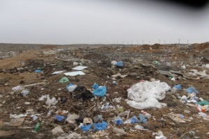 В Наримановском районе из-за свалок произошло загрязнение почв тяжёлыми металлами