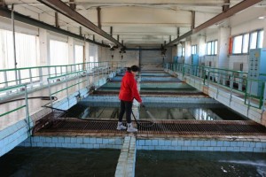 В Астрахани готовится программа модернизации очистных сооружений городского водопровода