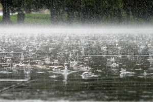 В среду в Астраханской области продолжится дождь