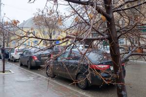 В конце недели на Астрахань обрушится сильный дождь 