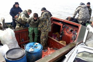 Астраханские пограничники обнаружили браконьеров с десятью тюленьими шкурами