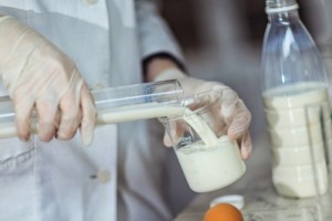 Почти четверть произведённой в России молочной продукции – фальсификат