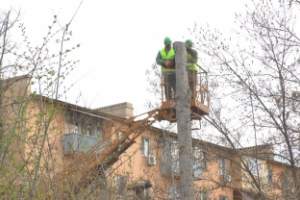 В Астрахани опиливают деревья на территории учебных заведений