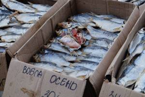 Участники скандального проекта телеканала «Пятница» тайно посетили астраханский рыбный рынок