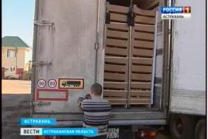 В Астрахани задержана фура с 20 тоннами польских яблок. Кому предназначался санкционный товар?