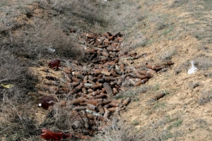 Близ военного полигона в Астраханской области найдены 1,5 тыс. боеприпасов
