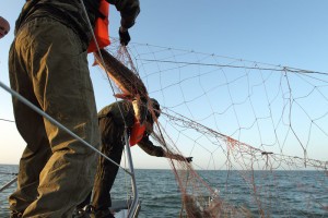 Астраханские пограничники ежедневно вытаскивают из воды сотни метров браконьерских сетей
