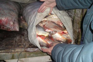 В Володарском районе задержали браконьера с 10 мешками рыбы и икры