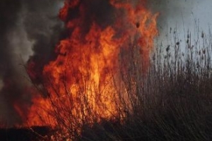 Главные причины ландшафтных пожаров