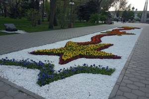 В Астрахани к 9 мая высадят около полумиллиона цветов