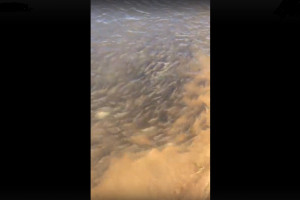 Астраханские рыбаки сняли на видео скопление воблы у берегов