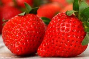 Как астраханцам вырастить ягоды размера XXL