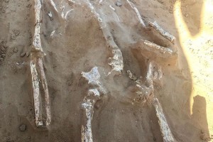 Астраханские археологи нашли одно из самых древних погребений в с Никольское и будут ещё