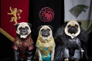 Россияне называют собак в честь героев «Игры престолов»