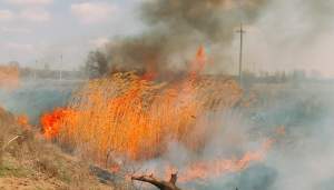 Более 500 природных пожаров произошло в Астраханской области с начала года