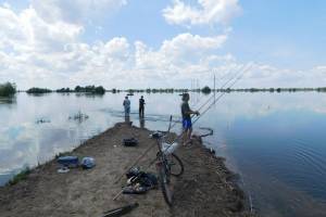 В Астраханской области вода уходит с нерестилищ, но так и не заполнив их