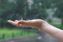 Синоптики предрекают астраханцам дождливый вторник