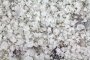 Две тысячи тонн соли заготовили в Астрахани для борьбы с гололёдом