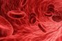 Какая группа крови больше подвержена коронавирусу