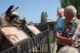 Астраханский зоопарк, закрытый на карантин, могут убить коммунальные долги